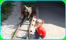 Letzter Waggon mit Ziegenbock